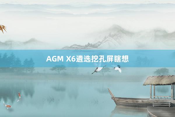 AGM X6遴选挖孔屏瞎想